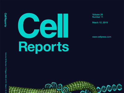 Cell Report 2019