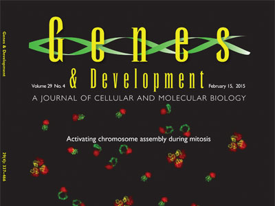 Genes Development 2015